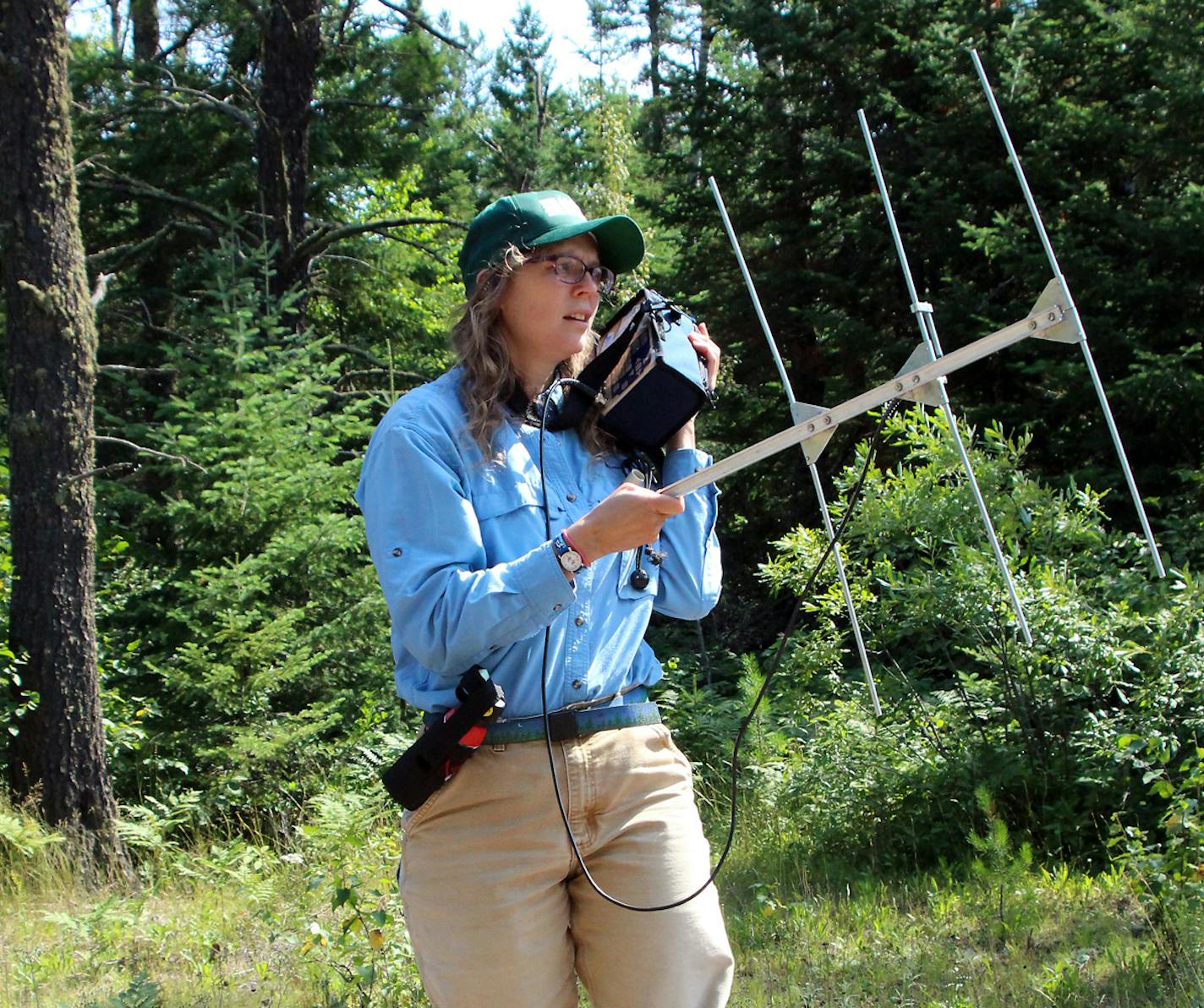 Shannon Barber-Meyer, research wildlife biologist, afield.