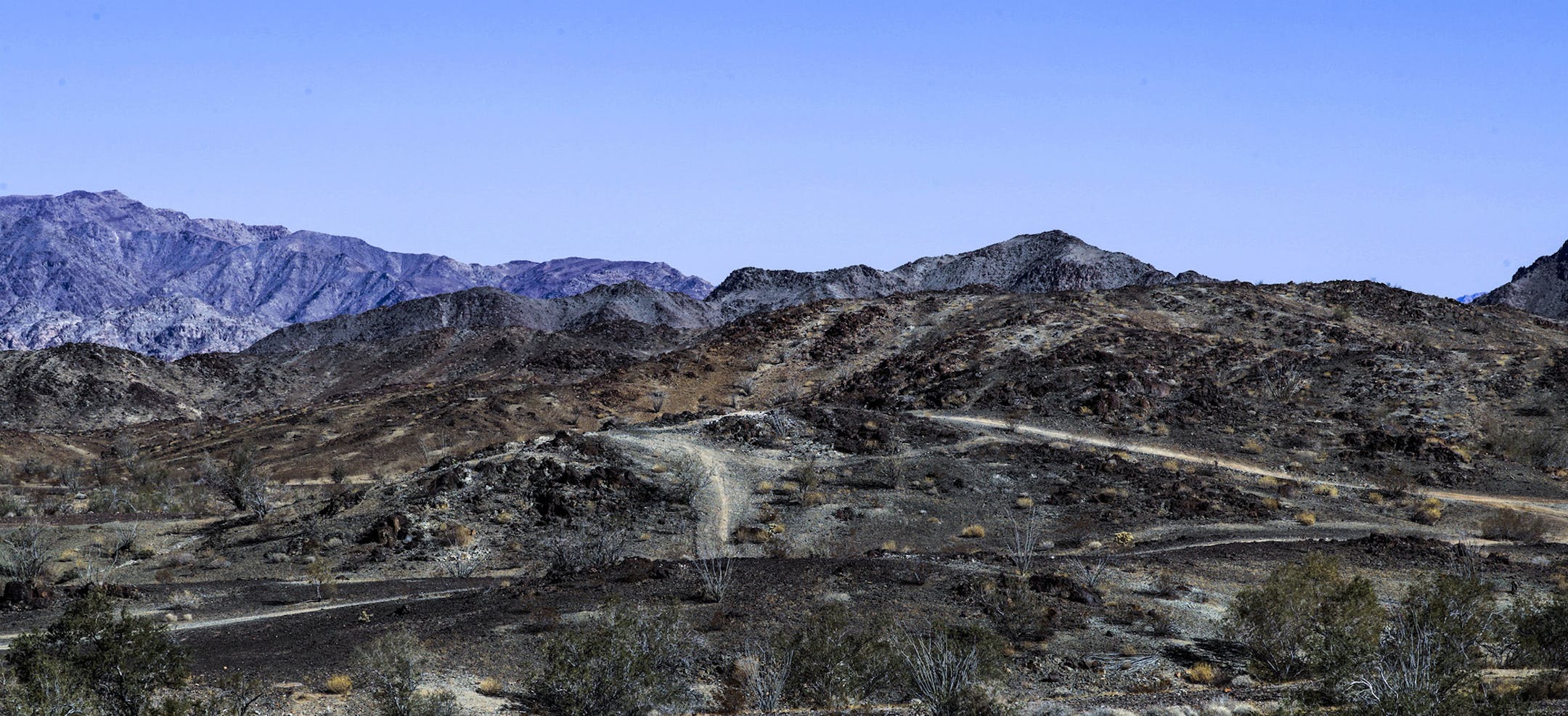 A hillside scared by the illegal off-road vehicle activities at Chuckwalla Bench on Feb. 28, 2018. (Irfan Khan/Los Angeles Times/TNS)