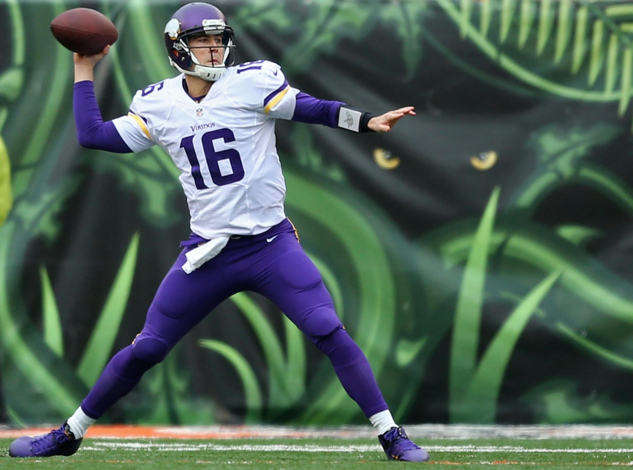 Minnesota Vikings quarterback Matt Cassel (16)