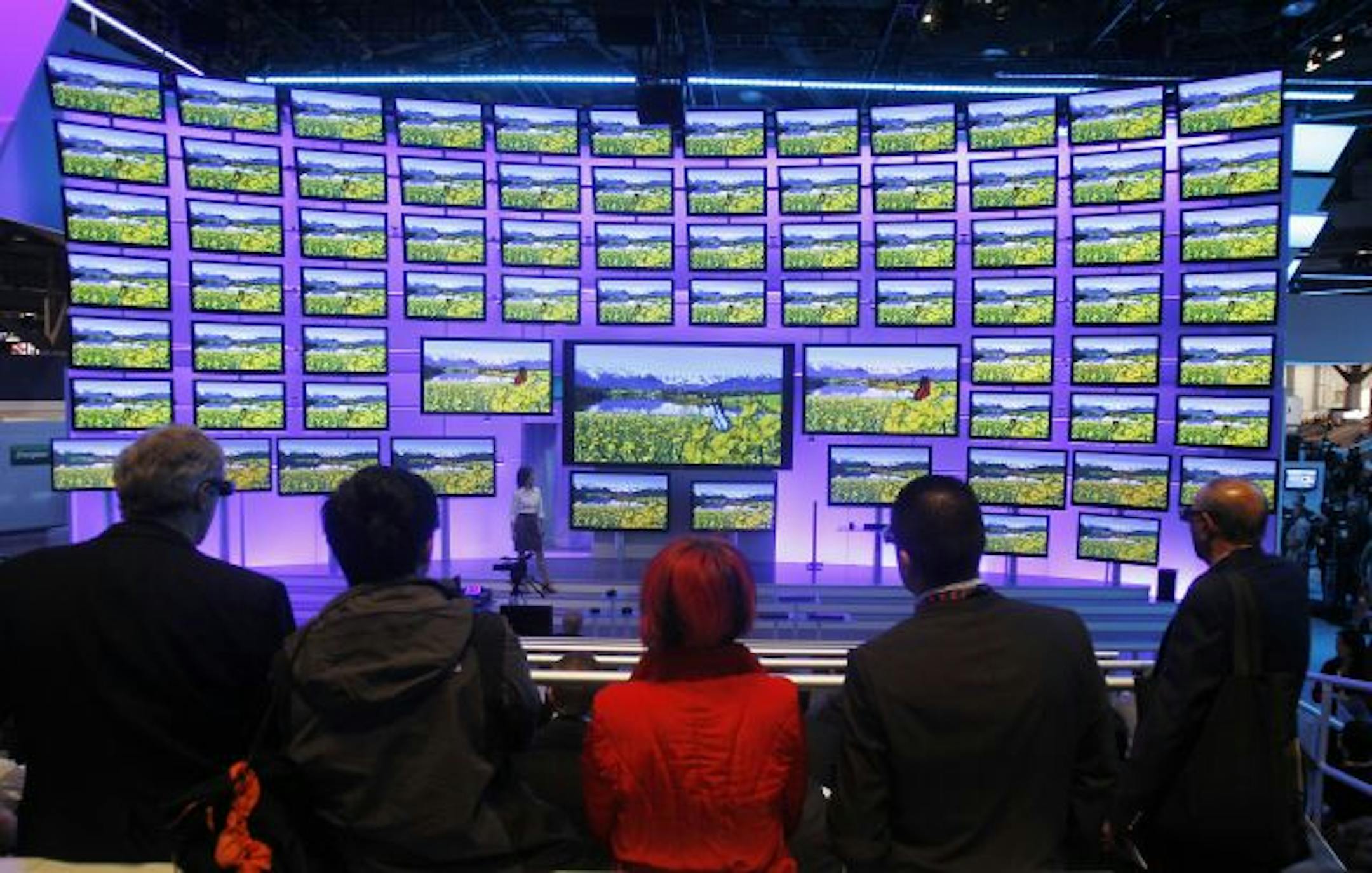 You say you want 3-D TV? Well, there has been no shortage of them at the Consumer Electronics Show.