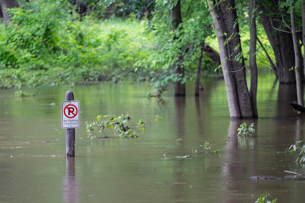 We're watching these 4 Minnesota rivers for flooding