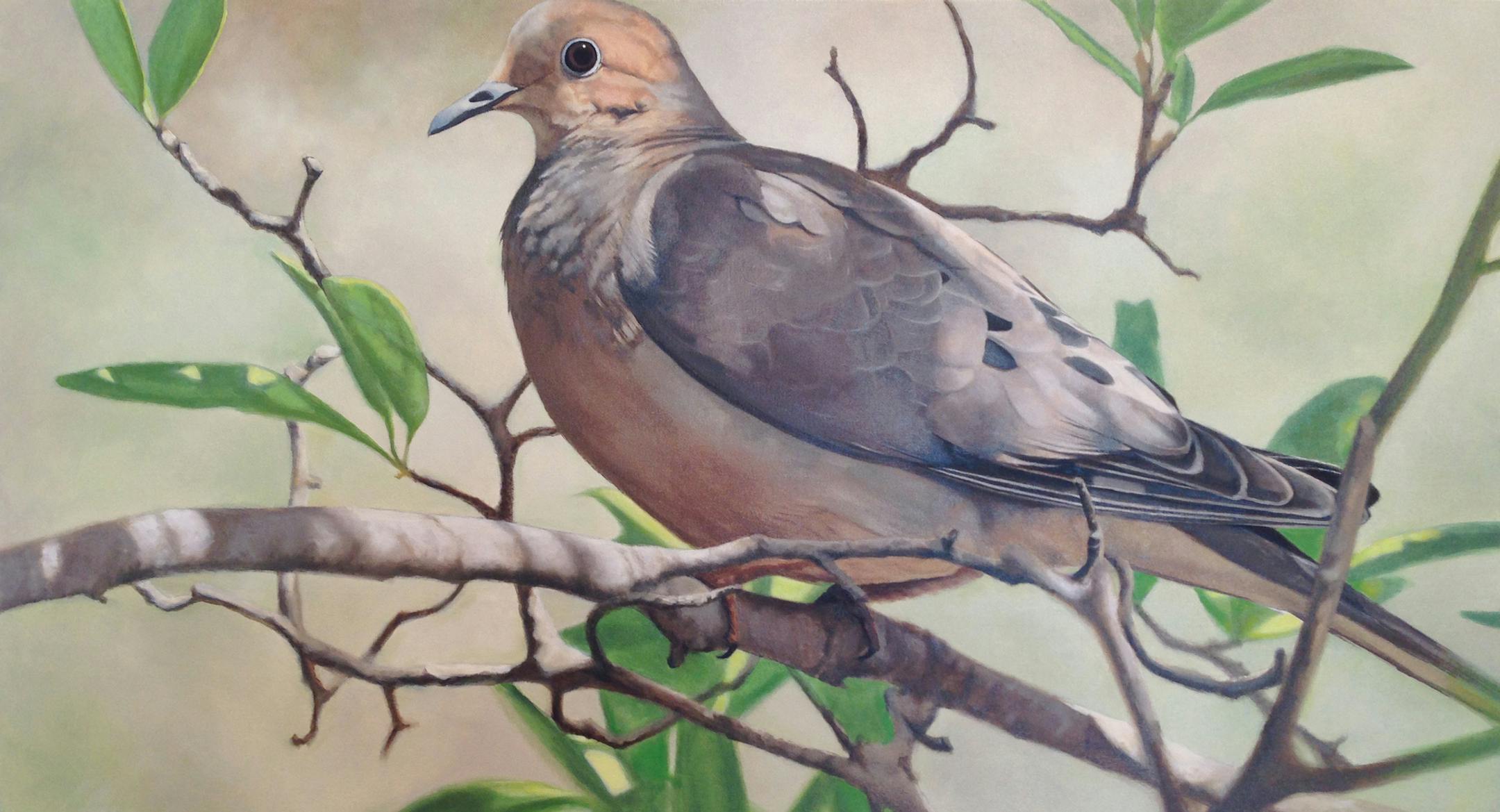 Eric Cornett's "Dove," oil
