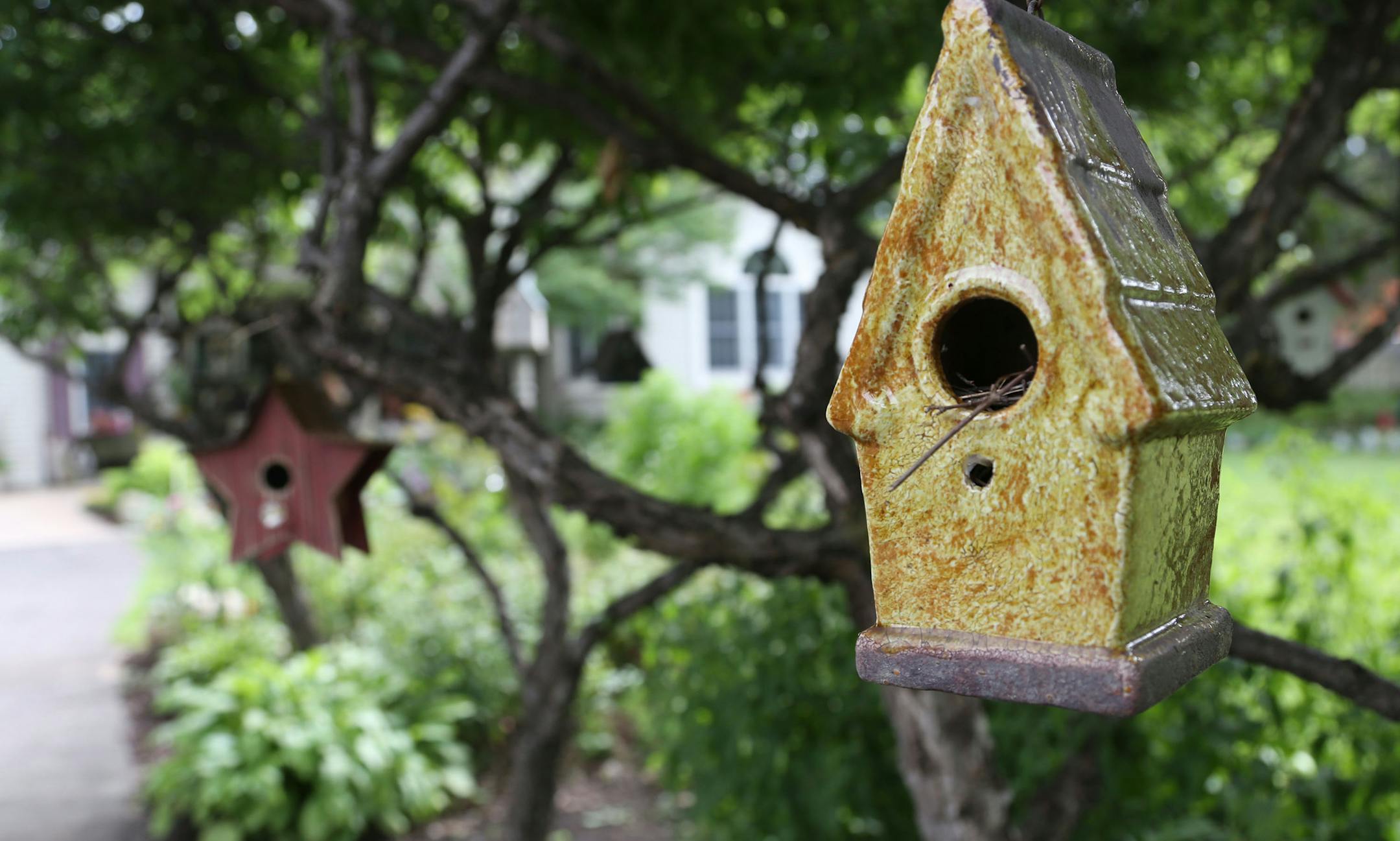 Judy Cunningham loves collecting birdhouses; her collection is sprinkled through the garden.