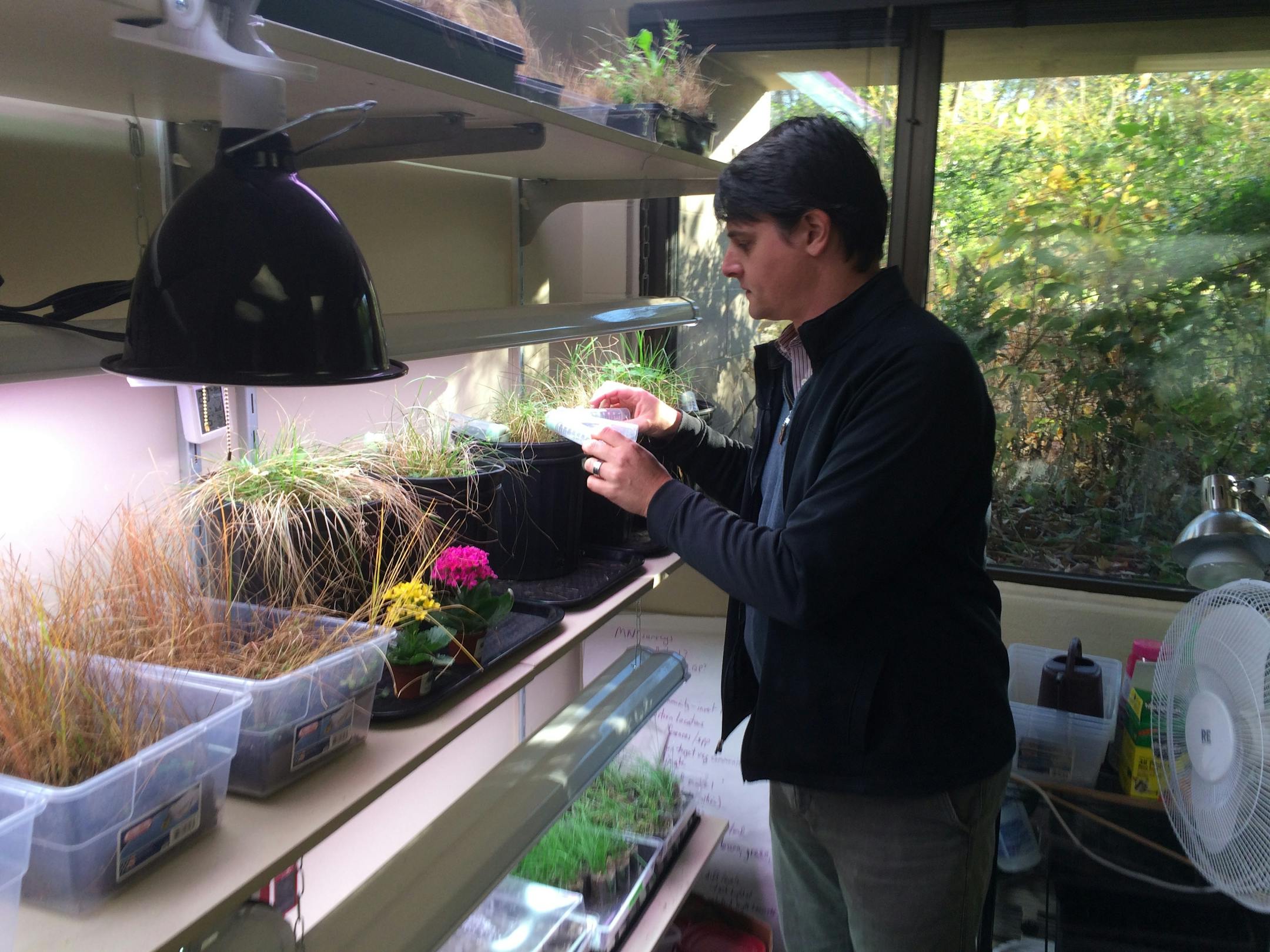 Erik Runquist, butterfly conservation biologist at the Minnesota Zoo, examines specimens inside the laboratory housing the endangered butterfly breeding project.