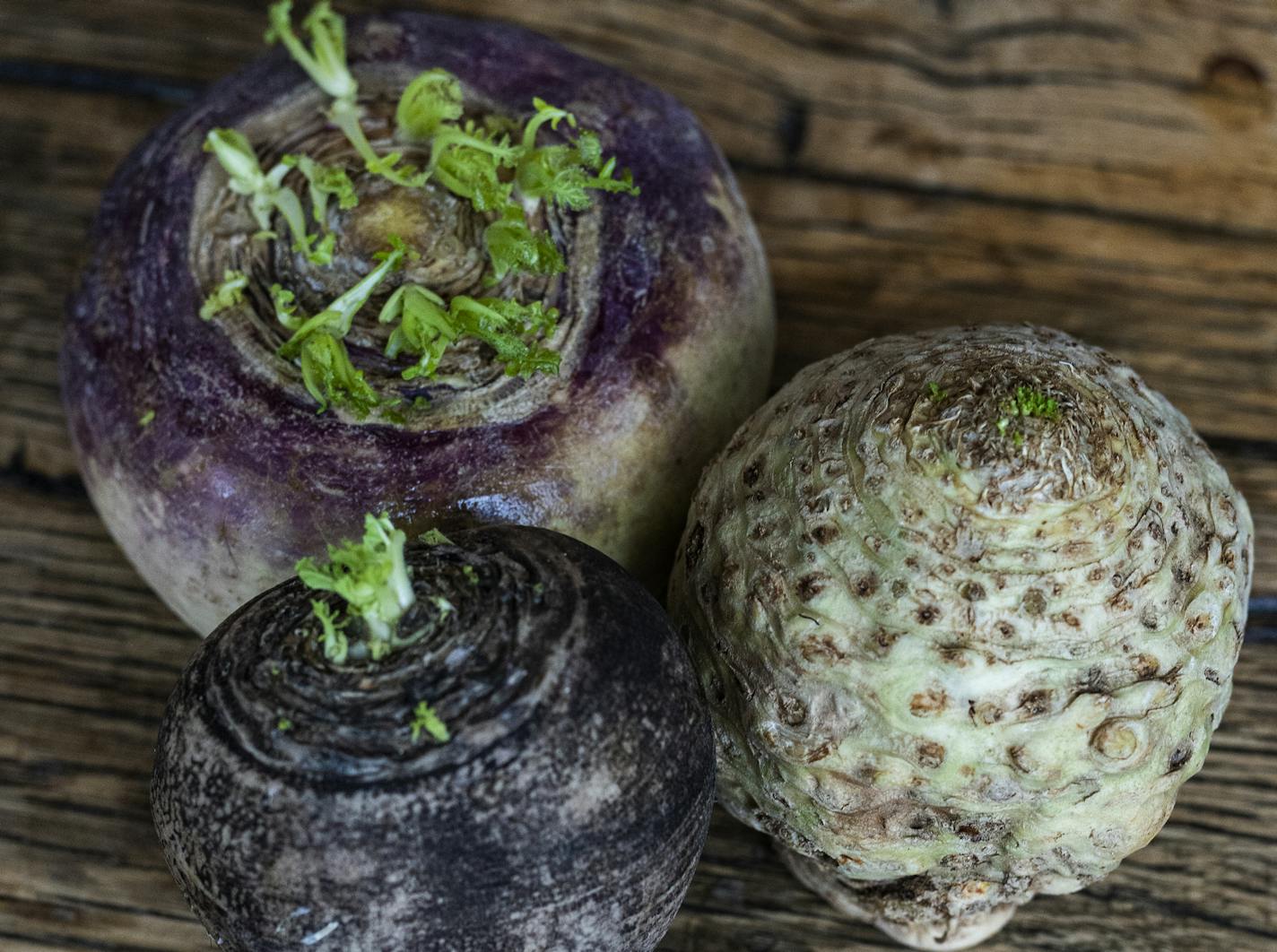 A turnip, celeriac, and beet are among the produce available for customers at Tangletown Gardens and Wise Acre Eatery.