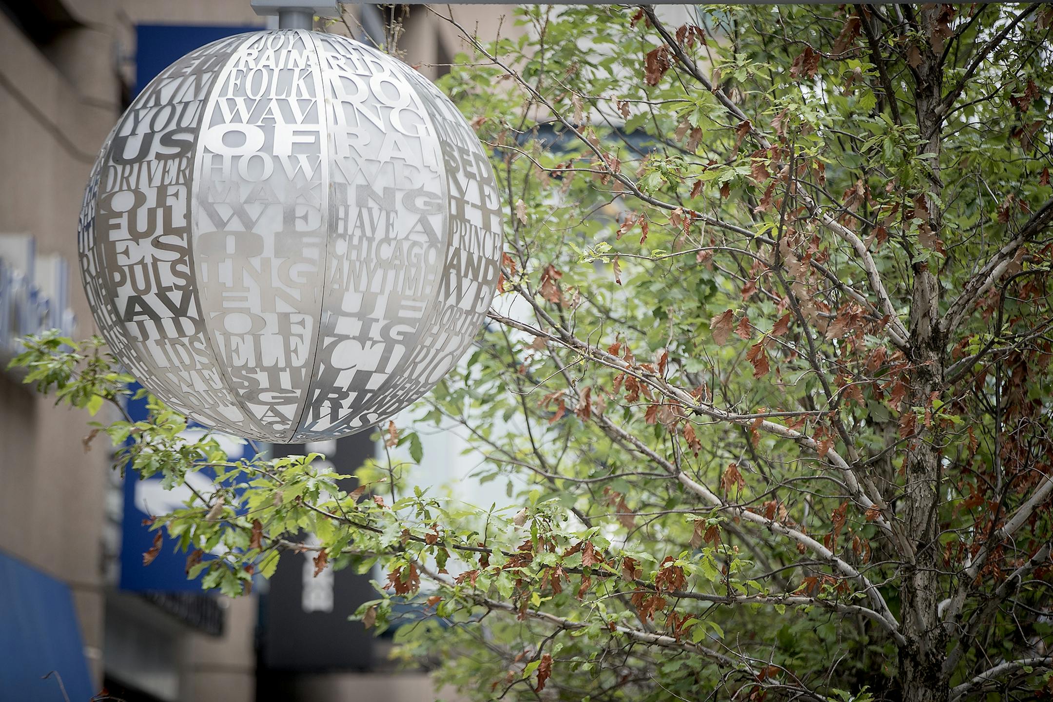 Pedestrians made their way along Nicollet Mall where the trees on the newly redesigned area are dying en masse, Wednesday, June 6, 2018 in Minneapolis, MN. The city may have to replant them because they're dying so quickly.