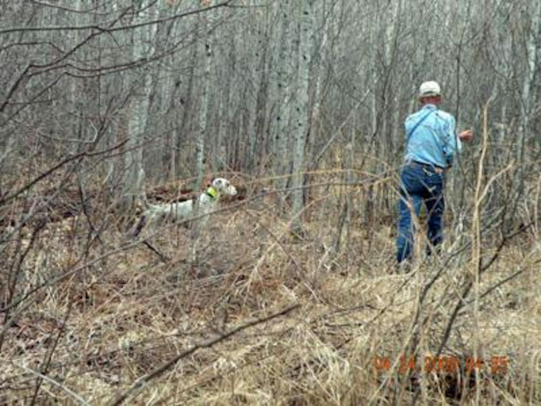 An excellent location by Blue Shaquille.
