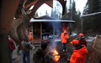 Thirteen deer hunters gathered at this camp near Tower, Minn., in 2012. Two of the hunters also had permits to shoot a wolf. 