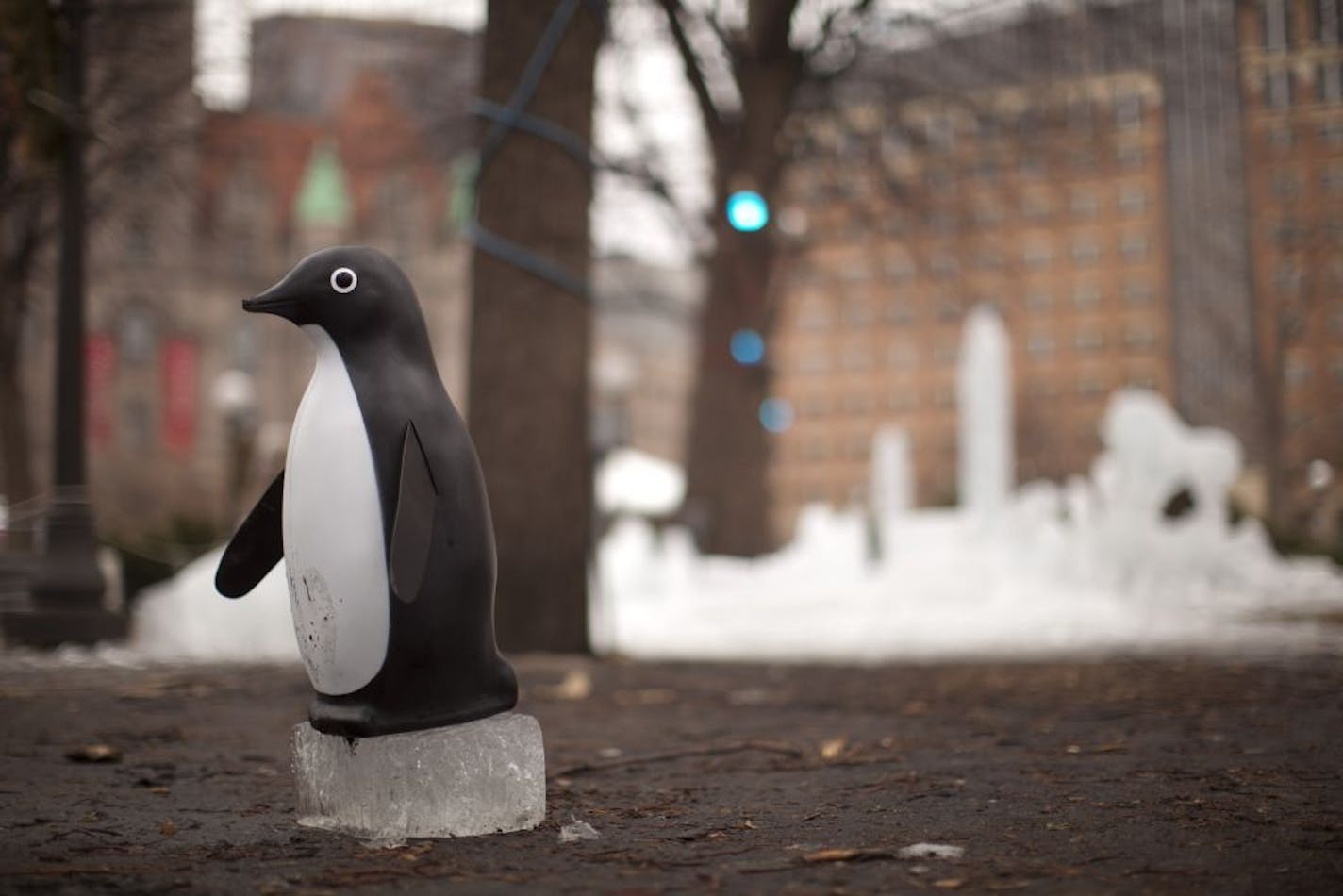 A penguin that was part of the fast-fading ice sculptures of a St. Paul Winter Carnival contest clung Tuesday to a disappearing ice block sitting in the mud of Rice Park.