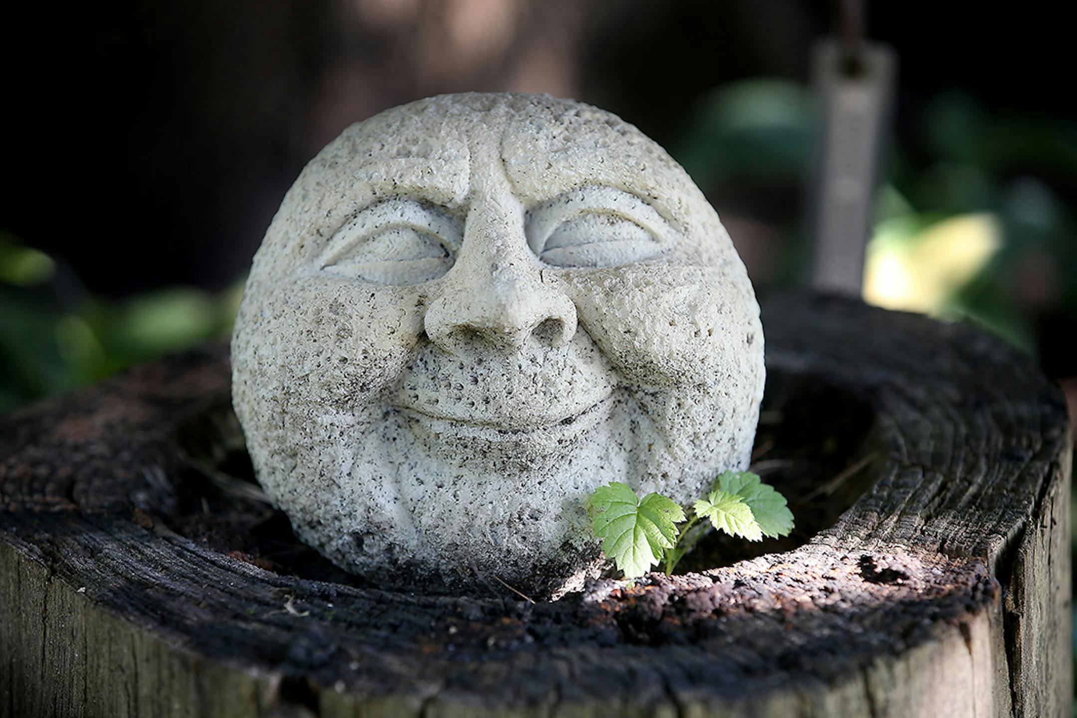 Kathy and Mike Pedersen's garden in Shakopee.