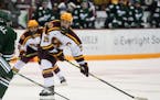 Gophers forward Ben Meyers has 10 points (four goals and six assists ) through 12 games this season.