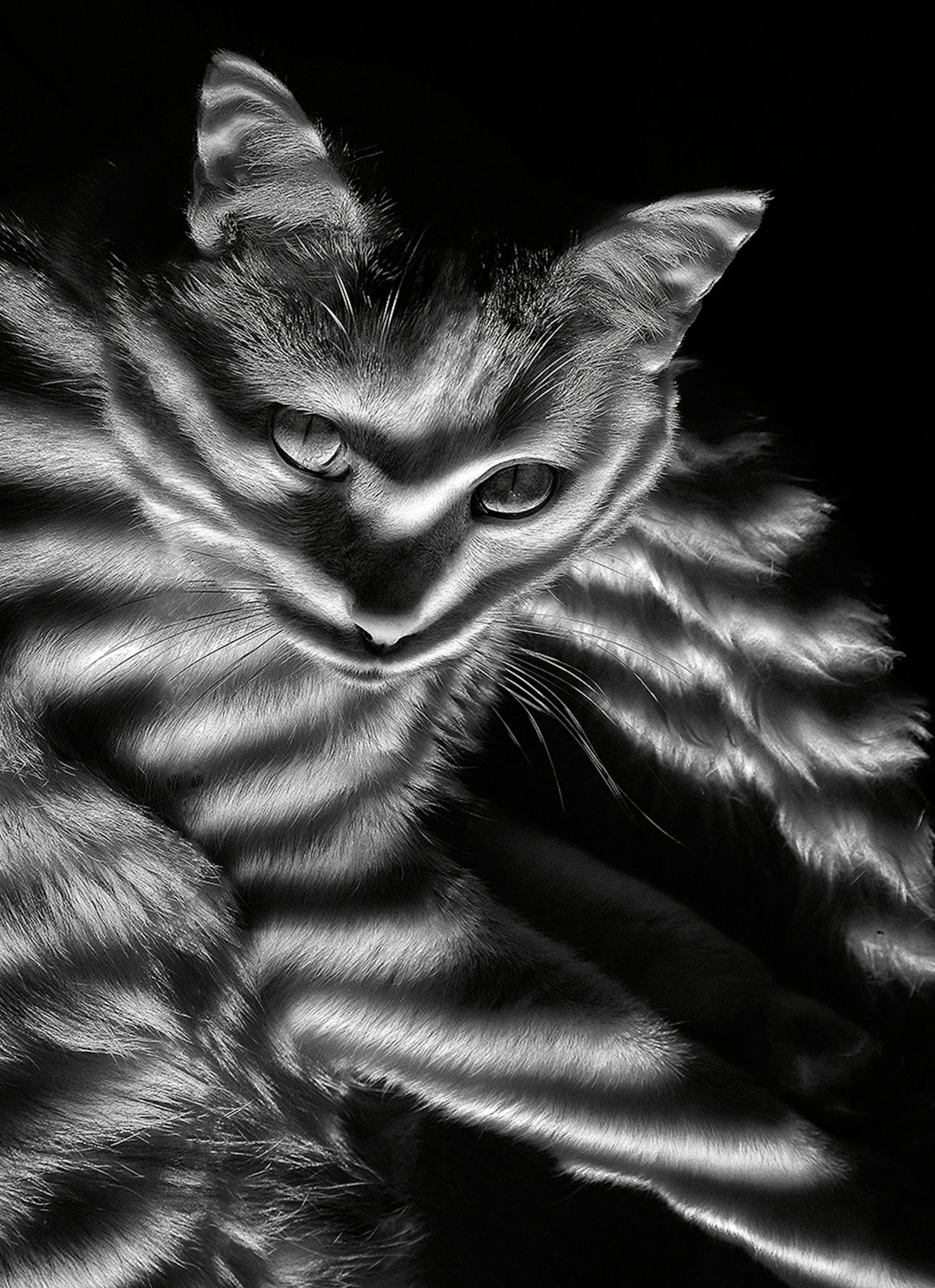 &#x201c;Blinded&#x201d; by Brad Kissell