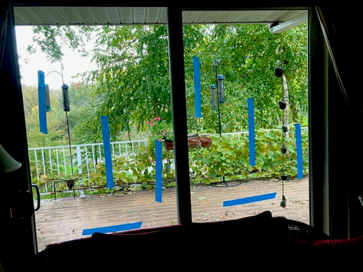 A picture window with long strips of blue painter's tape hung vertically and horizontally at intervals to help birds detect the presence of the window.