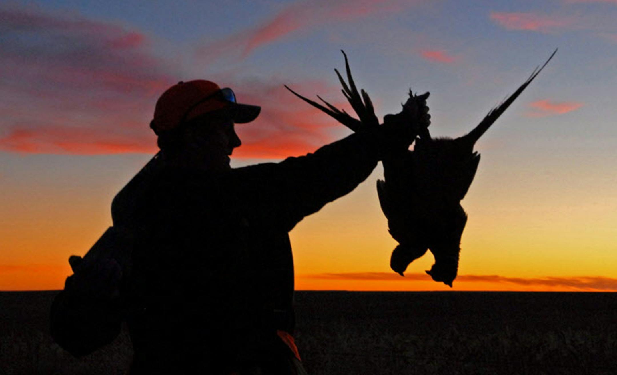 Should pheasant and other hunters on southern Minnesota wildlife management areas be required to use nontoxic shot instead of lead, when detrimental effects to wildlife on these lands by the latter are unproven? Taking a side has Pheasants Forever taking heat.