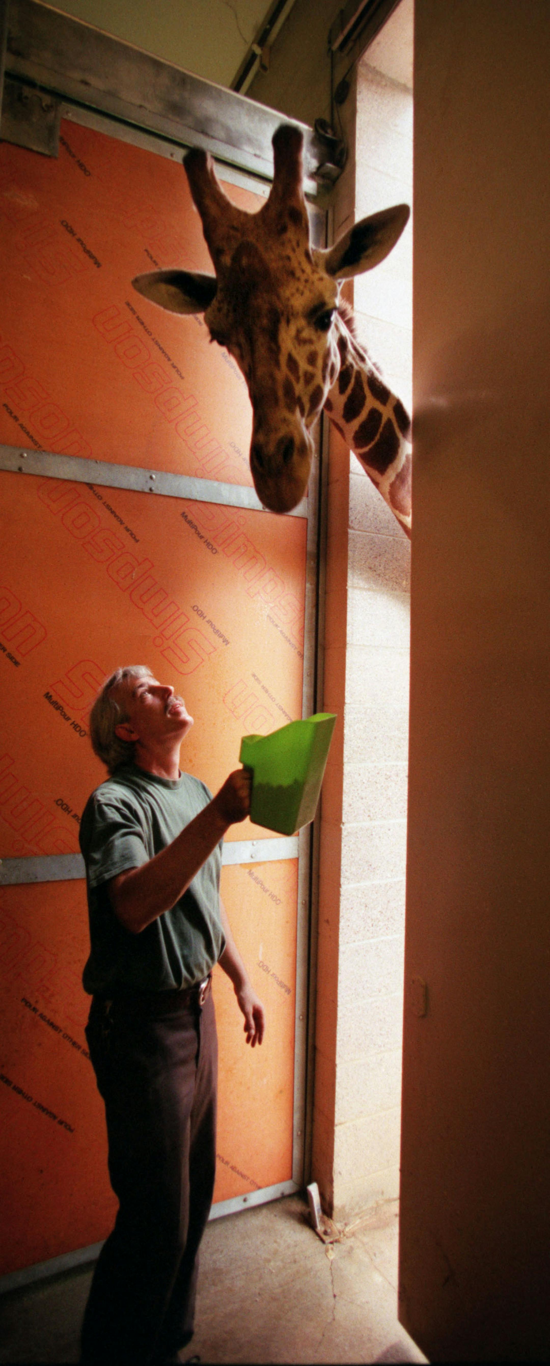 Pete Lee offered an afternoon snack to one of the four giraffes at the Como Zoo in St. Paul. He offers fare of a different sort every Monday on KFAI radio, 90.3 FM. But it's as much a treat for his listeners as the goodies he gives his charges at the zoo.