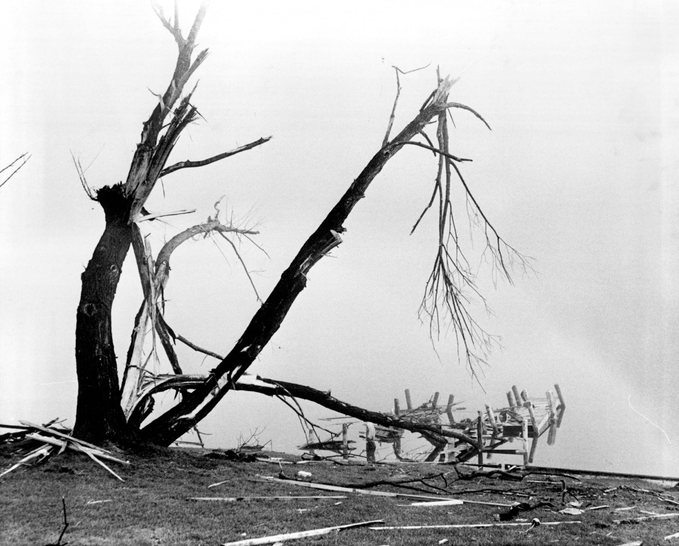 May 8, 1965 Damaged tree (above) and pier on Lake Minnetonka bore mute testimony to the force of the winds that hit the area Thursday. Tornado winds have been clocked at speeds of up to 500 miles an hour. At least three persons died as a result of the storm that ripped through the west end of the lake. May 7, 1965 Roy Swan, Minneapolis Star Tribune
