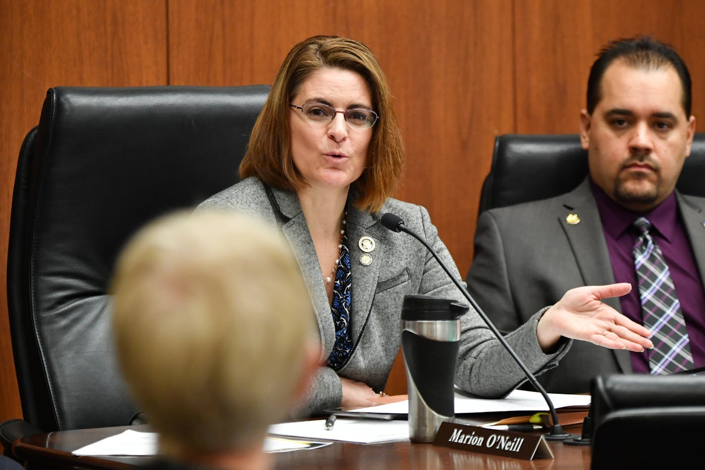 Representative Marion O'Neill, R-Maple Lake thanked Linda Walther, Sexual Assault Nurse Examiner, for participating in a working group on untested sexual assault kits in Minnesota. O'neil is the author of the House bill.