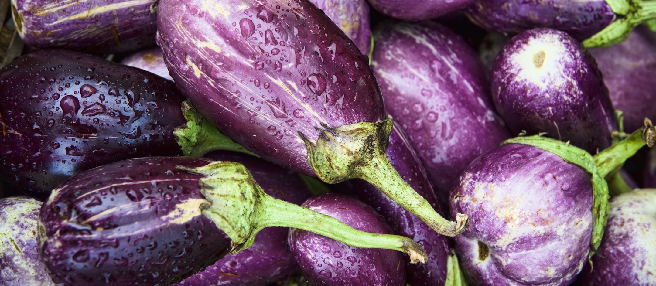 Eggplant right from the field