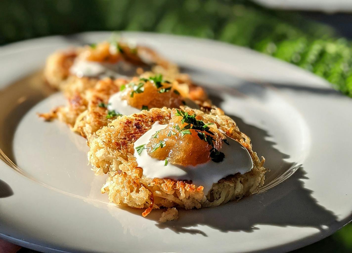 ProvidedLatkes with sour cream and housemate apple butter at Common Roots Cafe. ORG XMIT: qRWy2kO_VPhRCMezb32N