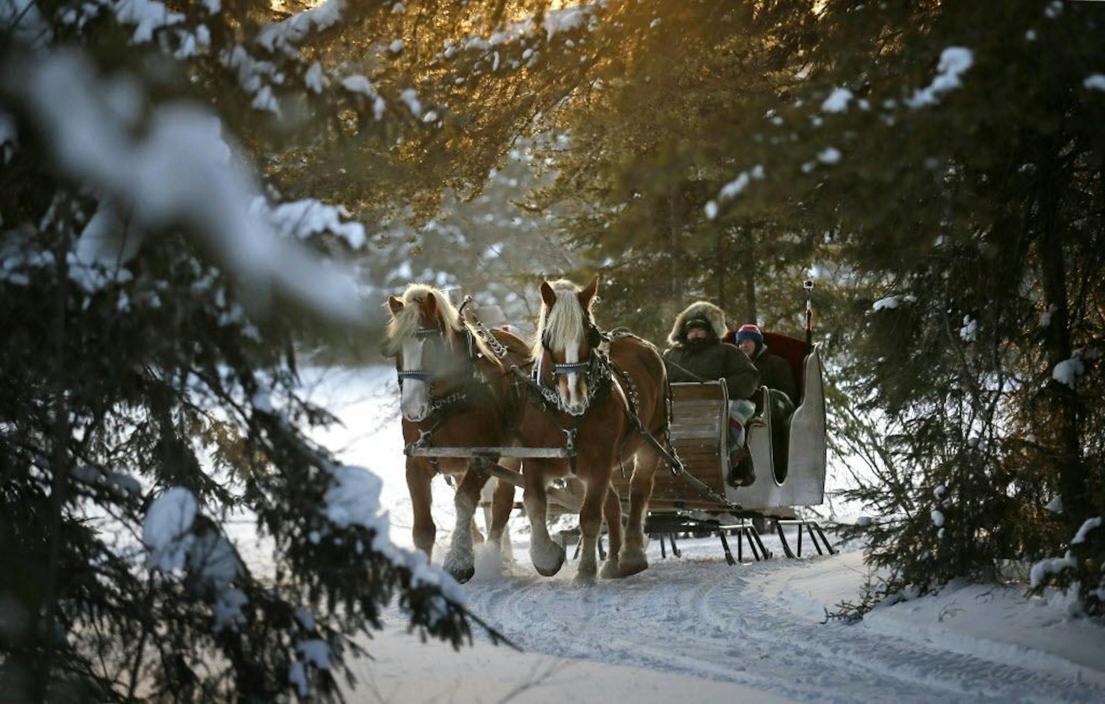 For 20 years, Mark and Nancy Patton and their extended family have been offering sleigh rides through their Gunflint Trail property, attracting visitors from all over the US and over 40 countries to enjoy the Northern Minnesota winter.