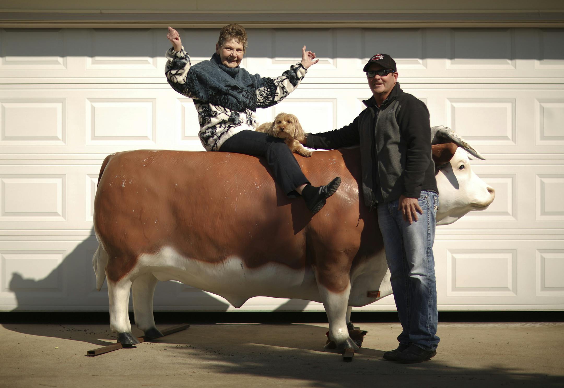 Jeannette Kemp and her son, Eric, with the family's much loved steer, in Jeanette's driveway in Anoka Tuesday afternoon. ] JEFF WHEELER ‚Ä¢ jeff.wheeler@startribune.com Eric Kemp finally hit pay dirt after trying to locate an iconic fiberglass cow that his parents purchased 46 years ago to put outside their store, Kemp's Superette in Anoka. High schools would steal it and paint it every now and then, but it always found it's way home. Then the family sold the store and Eric lost