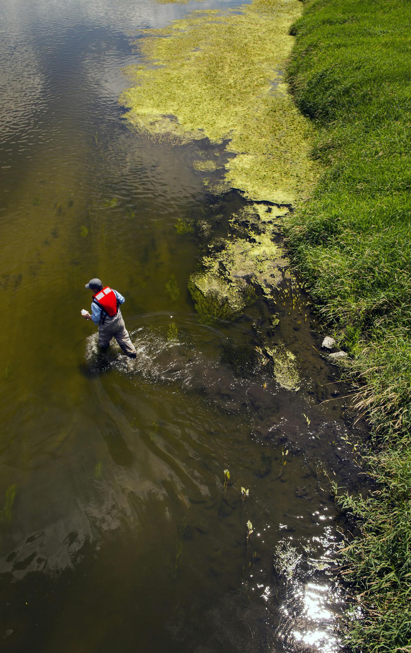 The MPCA’s Mike Walerak waded into the Shell Rock River south of Albert Lea to sample water as part of a statewide network that monitors pollutant loads in major rivers