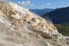 Yellowstone National Park - Mammoth Hot Springs ( Canary Spring)