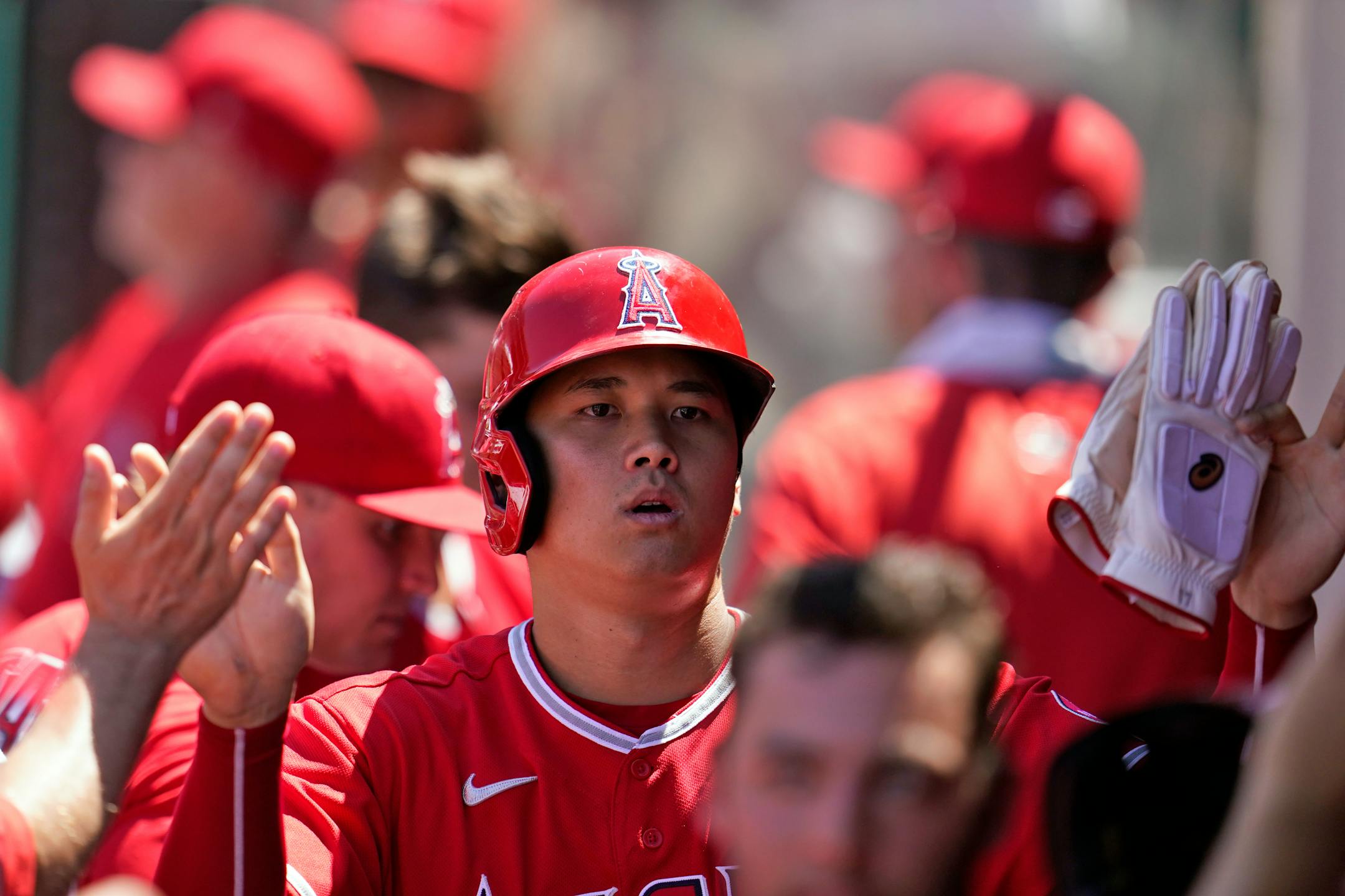 Los Angeles Angels' Shohei Ohtani is high-fived after scoring on a double by Luis Rengifo during the third inning of a baseball game against the Minnesota Twins, Sunday, Aug. 14, 2022, in Anaheim, Calif. (AP Photo/Marcio Jose Sanchez)