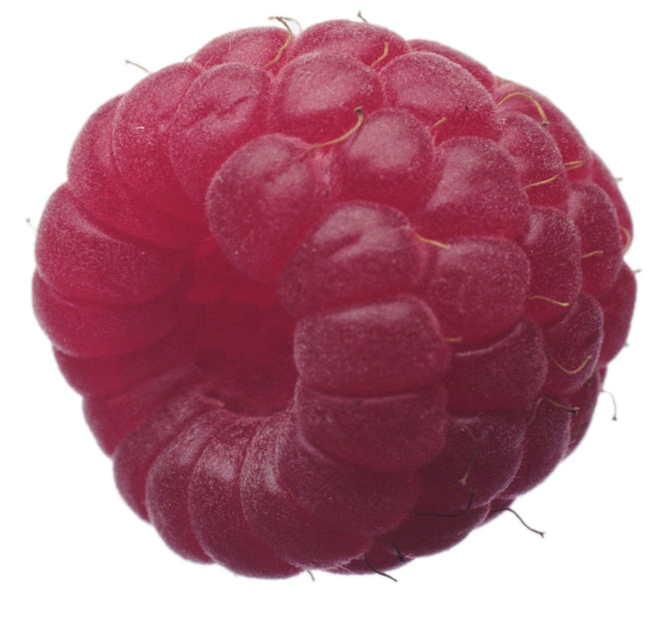 raspberries ORG XMIT: MIN2013071516250661