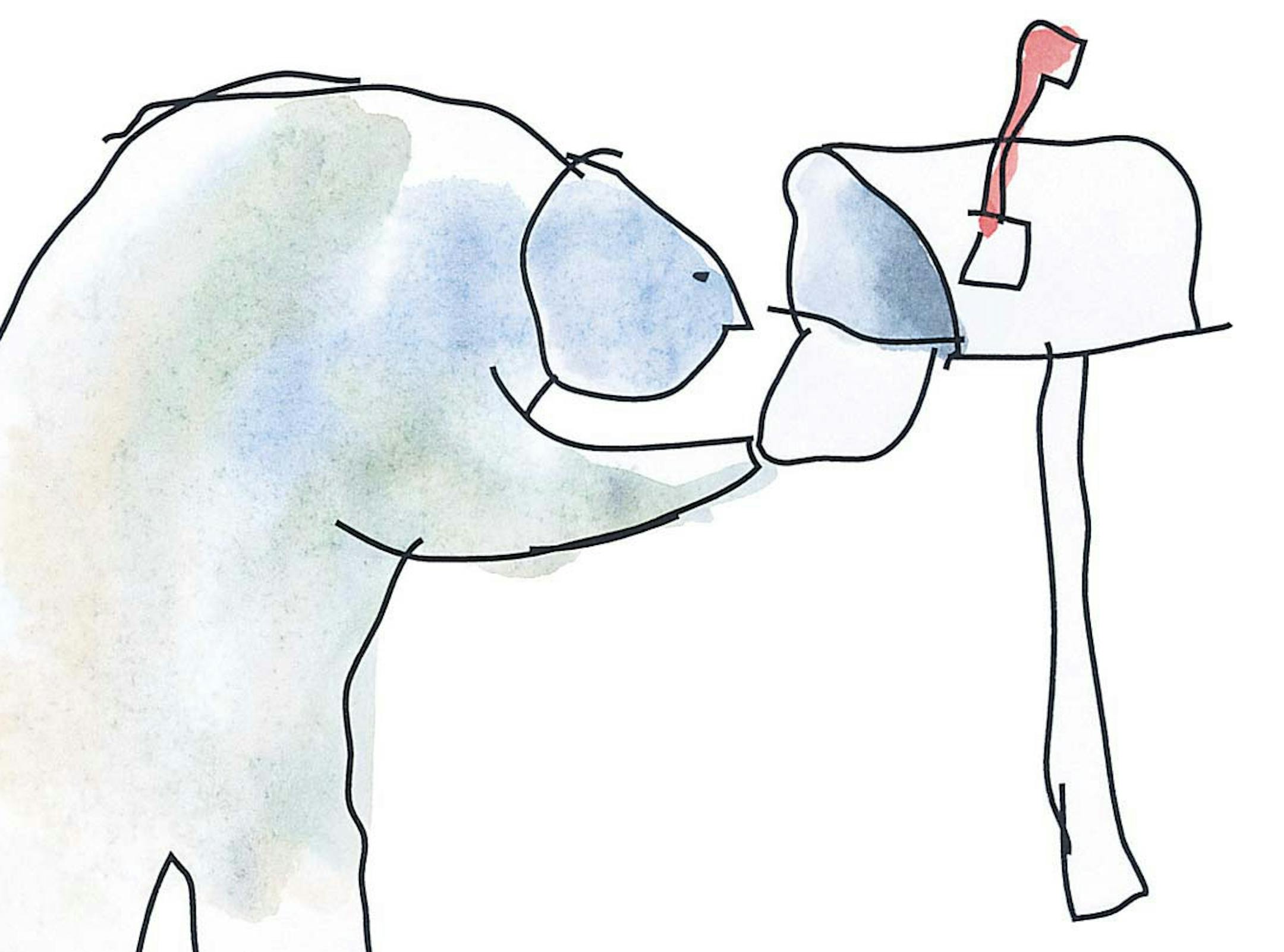 Paul Schmid/Seattle Times/MCT