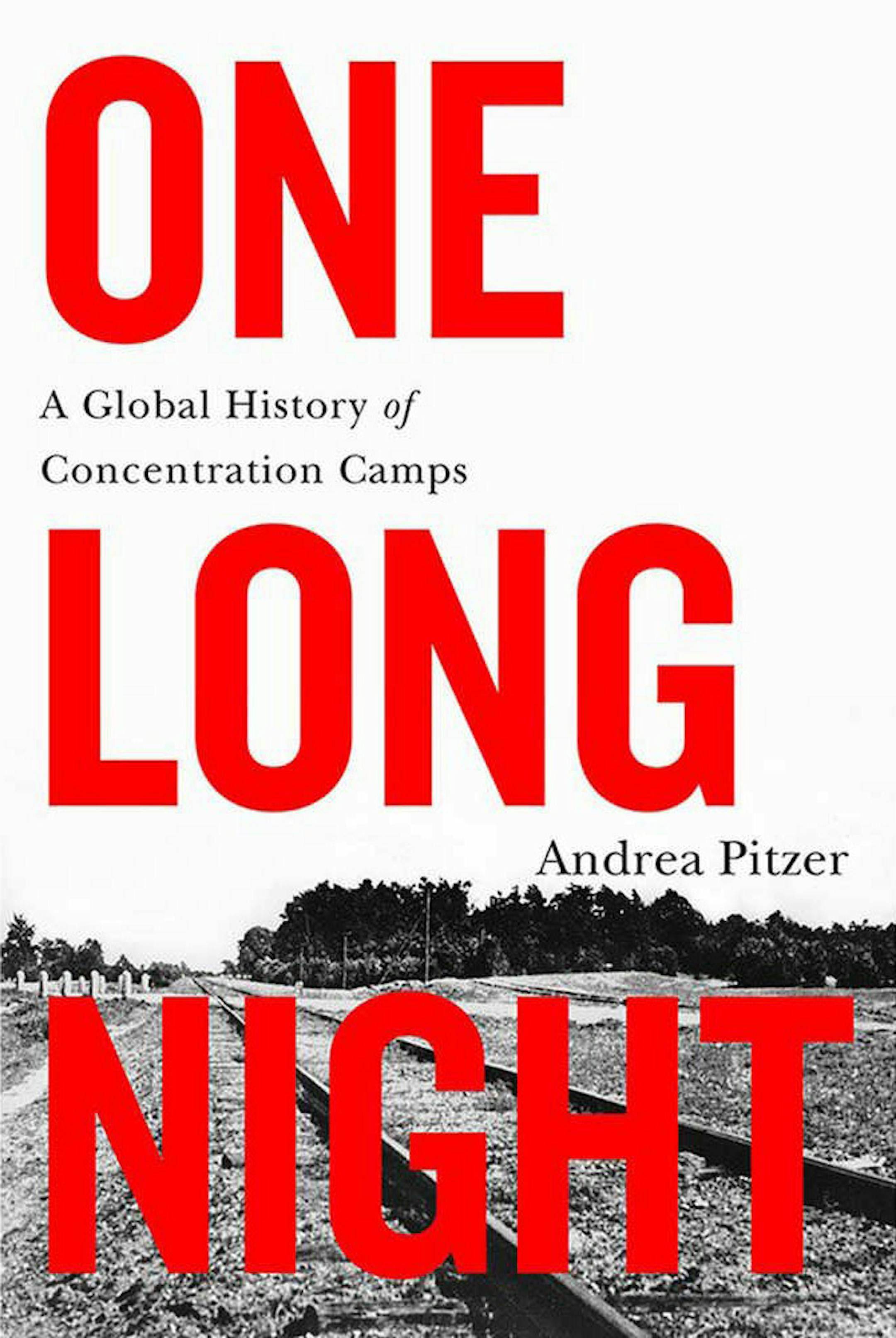 "One Long Night" by Andrea Pitzer