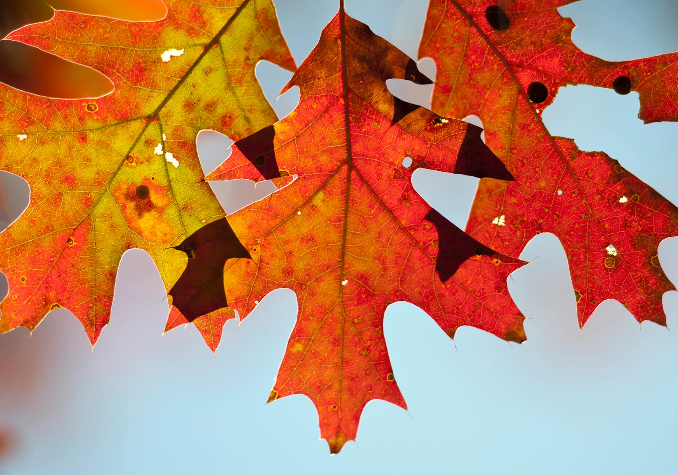 Illustration: The seasons of our lives.