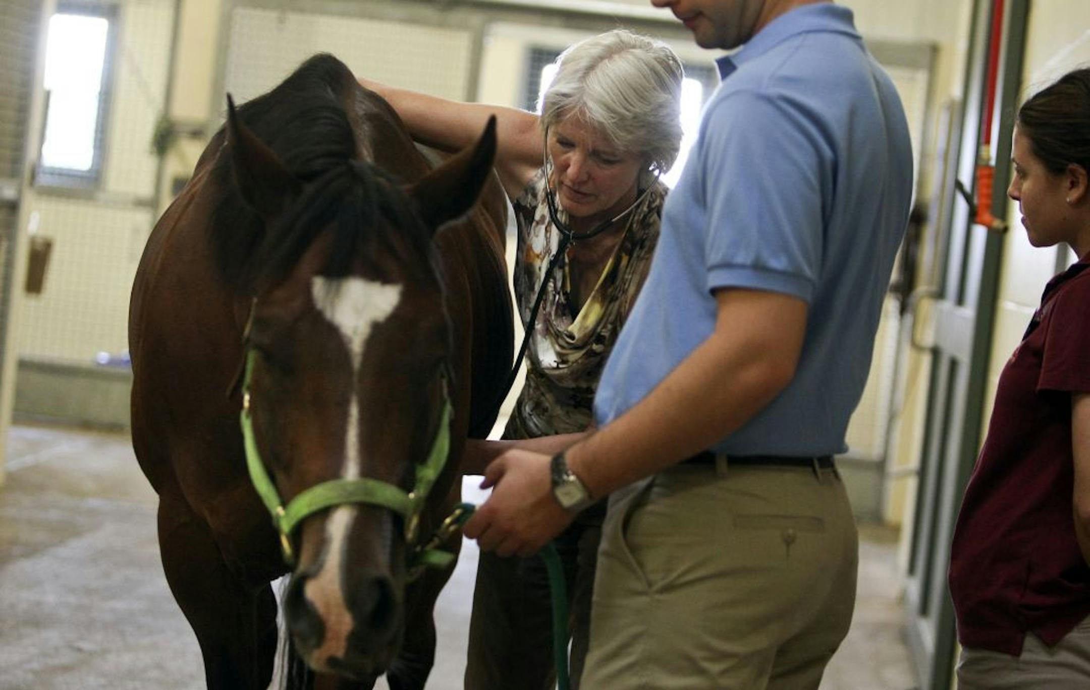 The U's Equine Center is among the 241 surveyed institutes. Like others, the Equine Center receives money from both taxes and gifts.