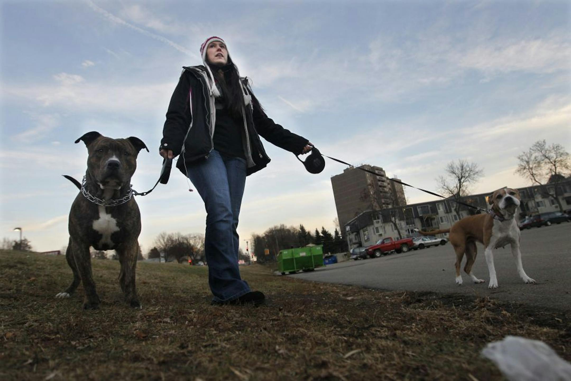 Creek Point Apartments resident Kim Hammett with her pitbull, Ruger,left, and a friend's dog, has noticed fewer pet droppings on the grounds since the new ID-ing policy was implemented.