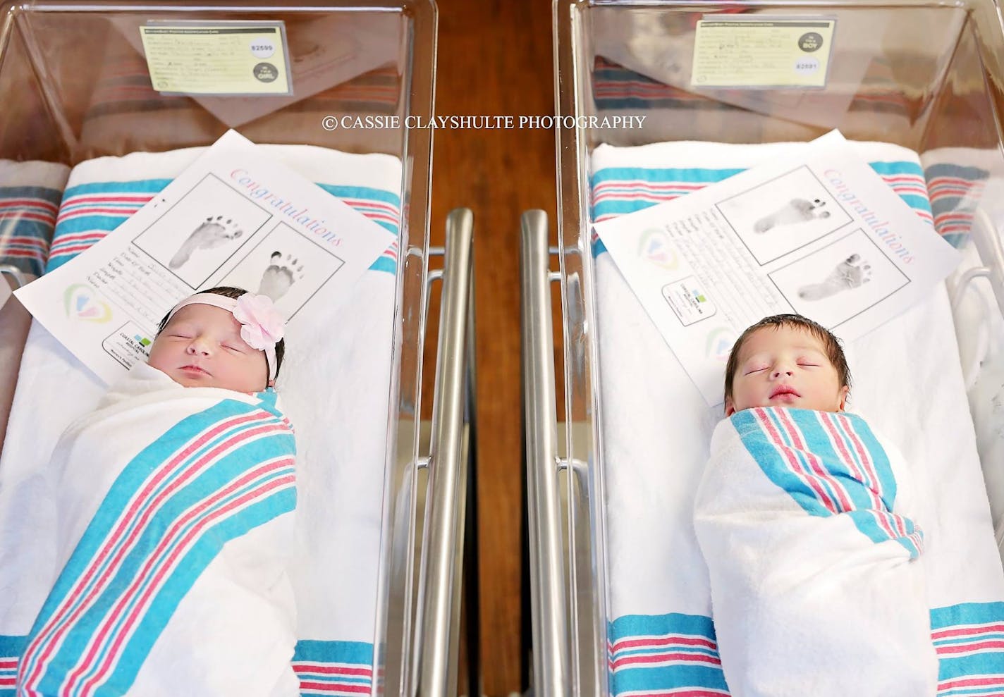 The now-famous Romeo and Juliet babies.