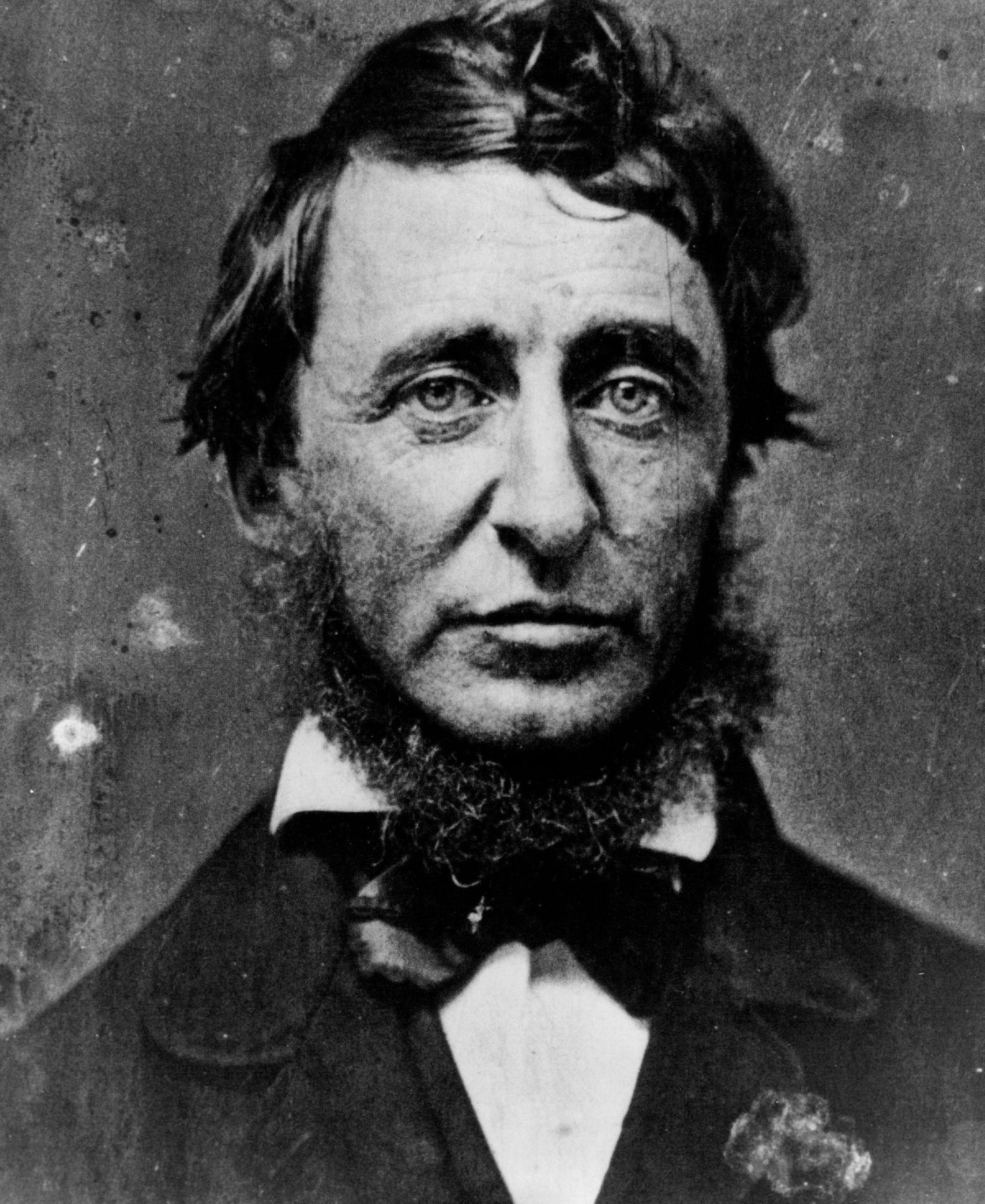August 17, 1971 Henry David Thoreau David - Naturalist January 8, 1979