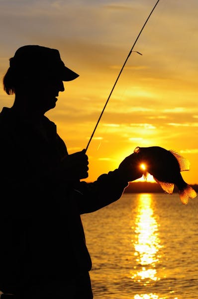 Silhouetted against an evening sunset, Rolf Moen, of Nisswa, Minn. displayed a hefty black crappie.