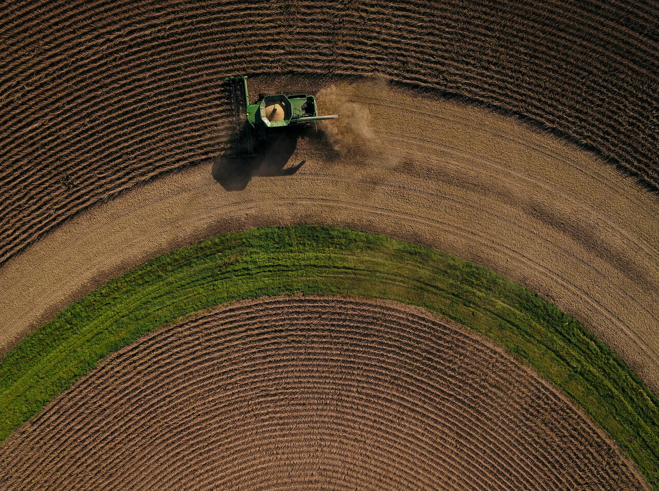 Steve Carlson, with Carlson Farms, harvest soy beans in his combine on Tuesday, Oct. 17, 2017 in Welch, Minn. ] AARON LAVINSKY ï aaron.lavinsky@startribune.com