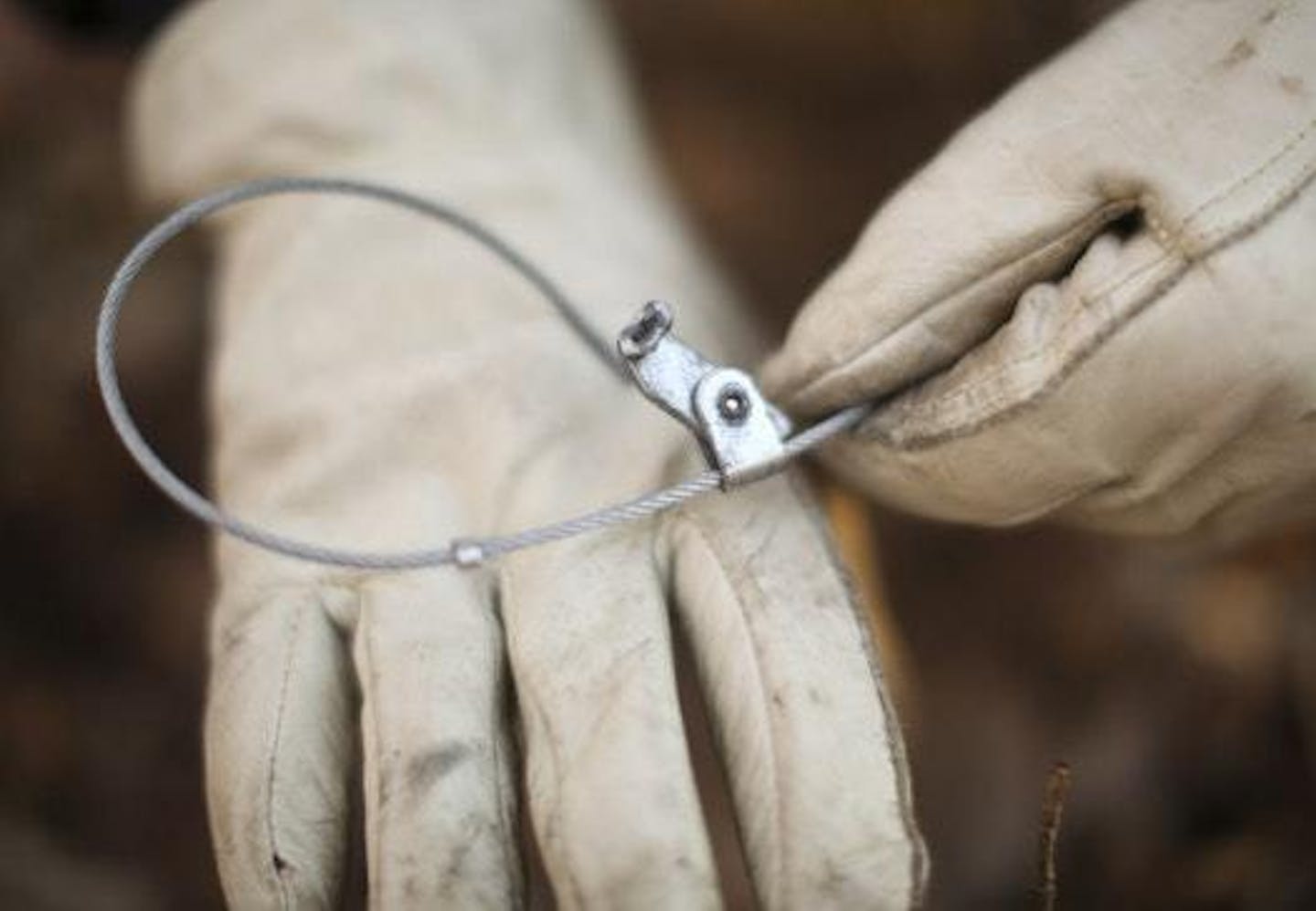 This snare is similar to the ones connected to criminal cases brought in March against two Iron Range men.