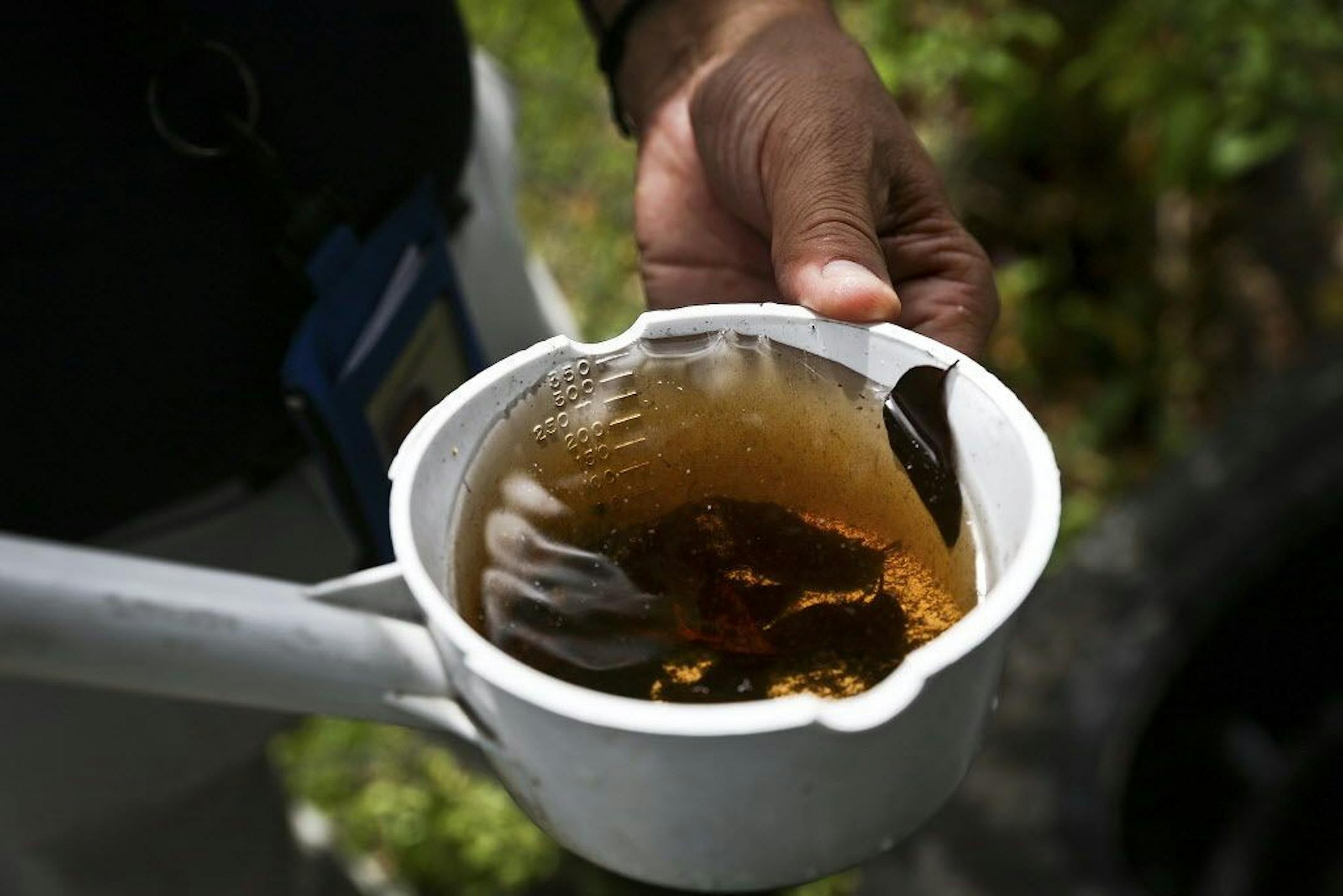 Miami-Dade mosquito control manager Chalmers Vasquez examines a sample of standing water with mosquito larvae in it during field tests in Miami, July 22, 2016. Aerial spraying of insecticide began Thursday in the one-mile square area of Miami where local mosquitoes have infected people with the Zika virus, and officials reported some glimmers of progress.