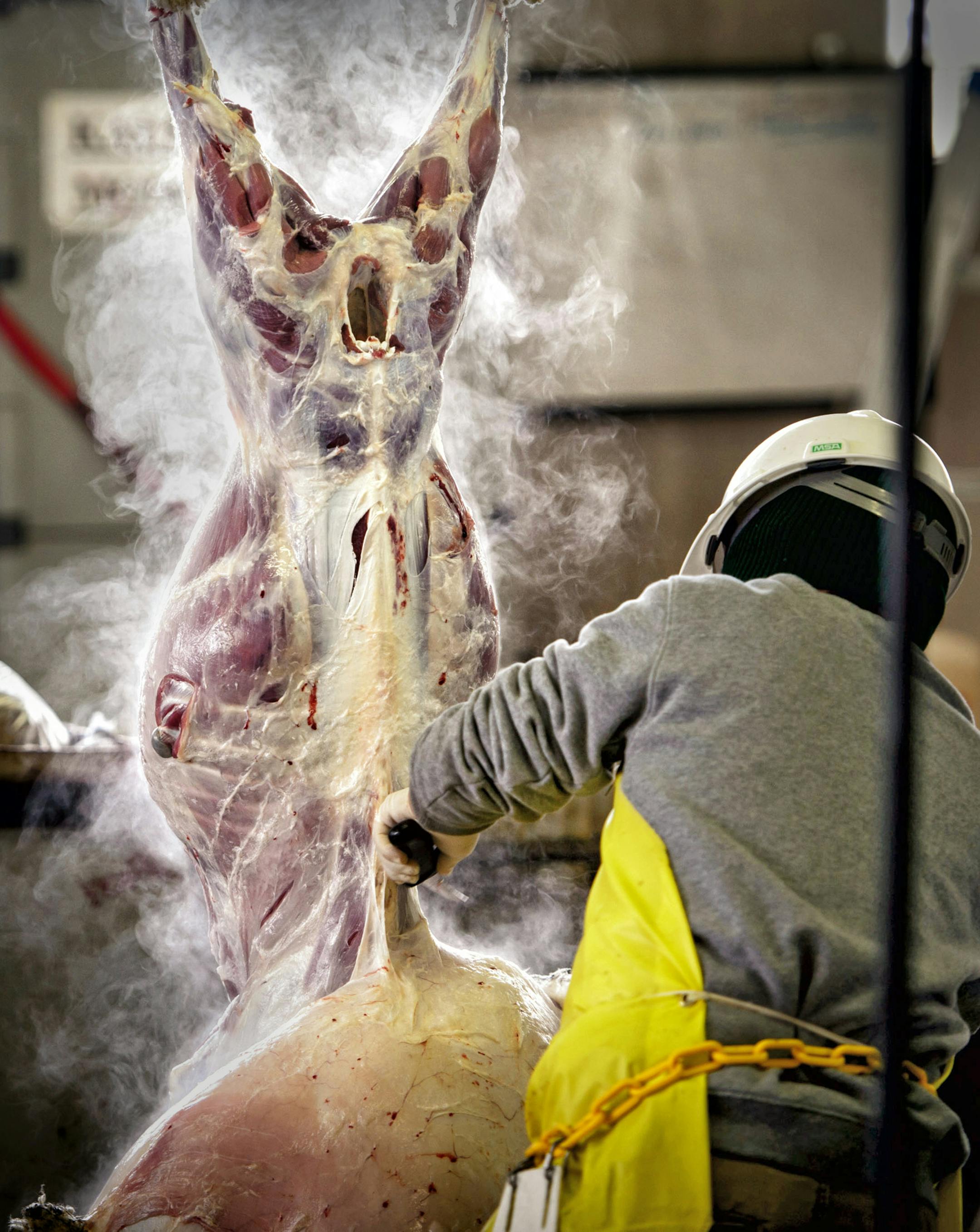 Cher Yang stripped the skin off the steaming fresh sheep.