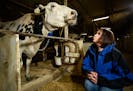 Marcia Endres photographed alongside a research cow back on April 10, 2018, at the University of Minnesota’s St. Paul campus