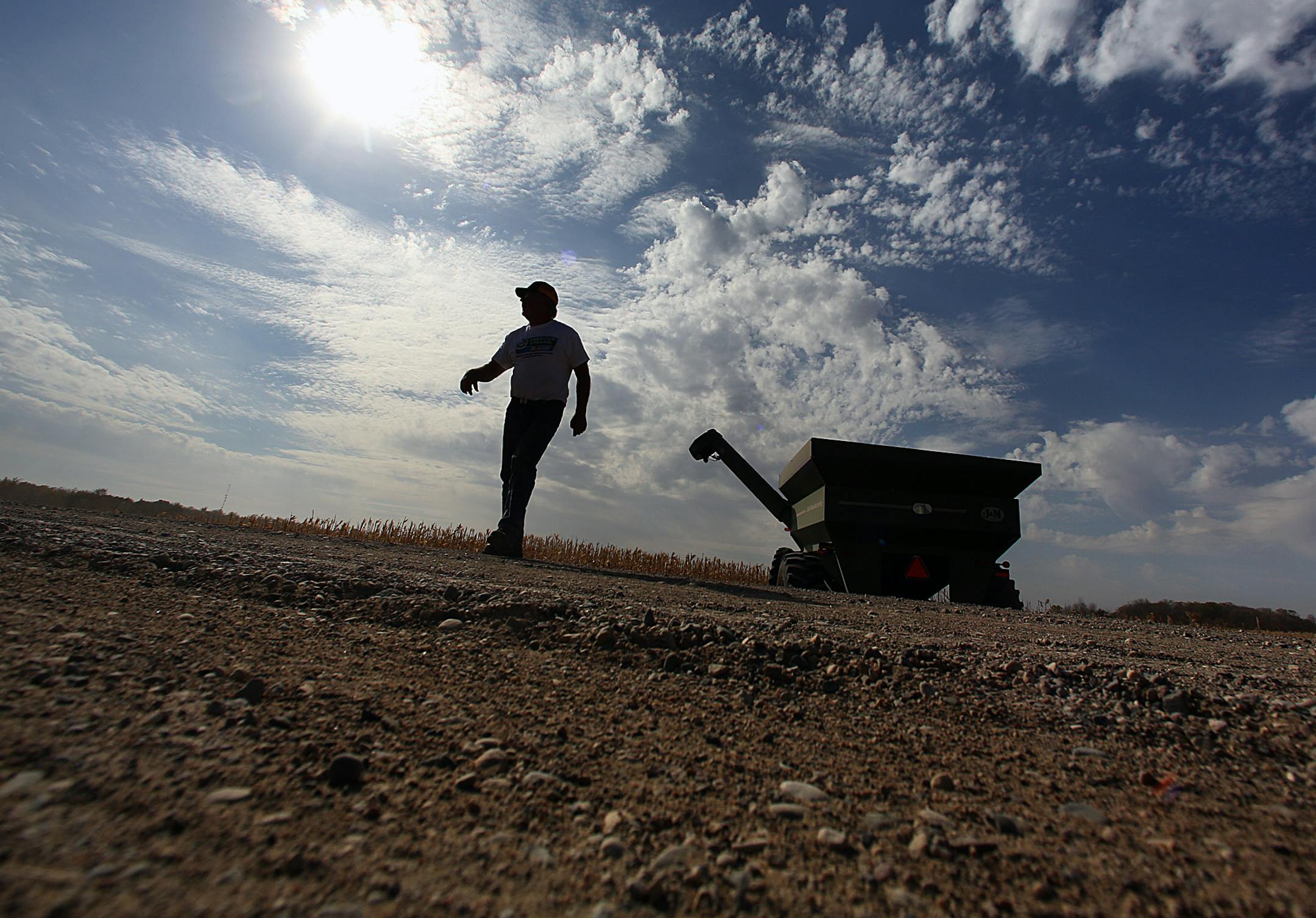 Tom Haag checked on equipment used to haul corn after he had emptied a wagon load of the grain into a semi trialer.