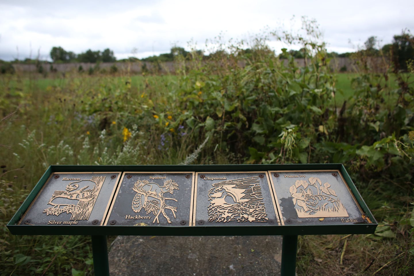 A sign pointed out what kind of animals can be found at North Mississippi Park. ] (KYNDELL HARKNESS/STAR TRIBUNE) kyndell.harkness@startribune.com in Minneapolis Min., Wednesday, September 10, 2014.