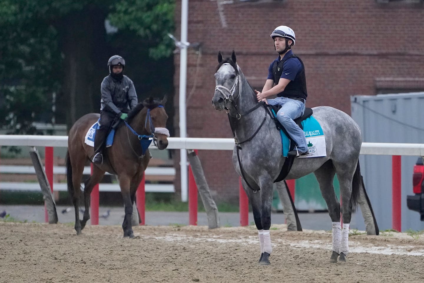 Essential Quality, right, trains the day before the 153rd running of the Belmont Stakes horse race in Elmont, N.Y., Friday, June 4, 2021. (AP Photo/Seth Wenig)