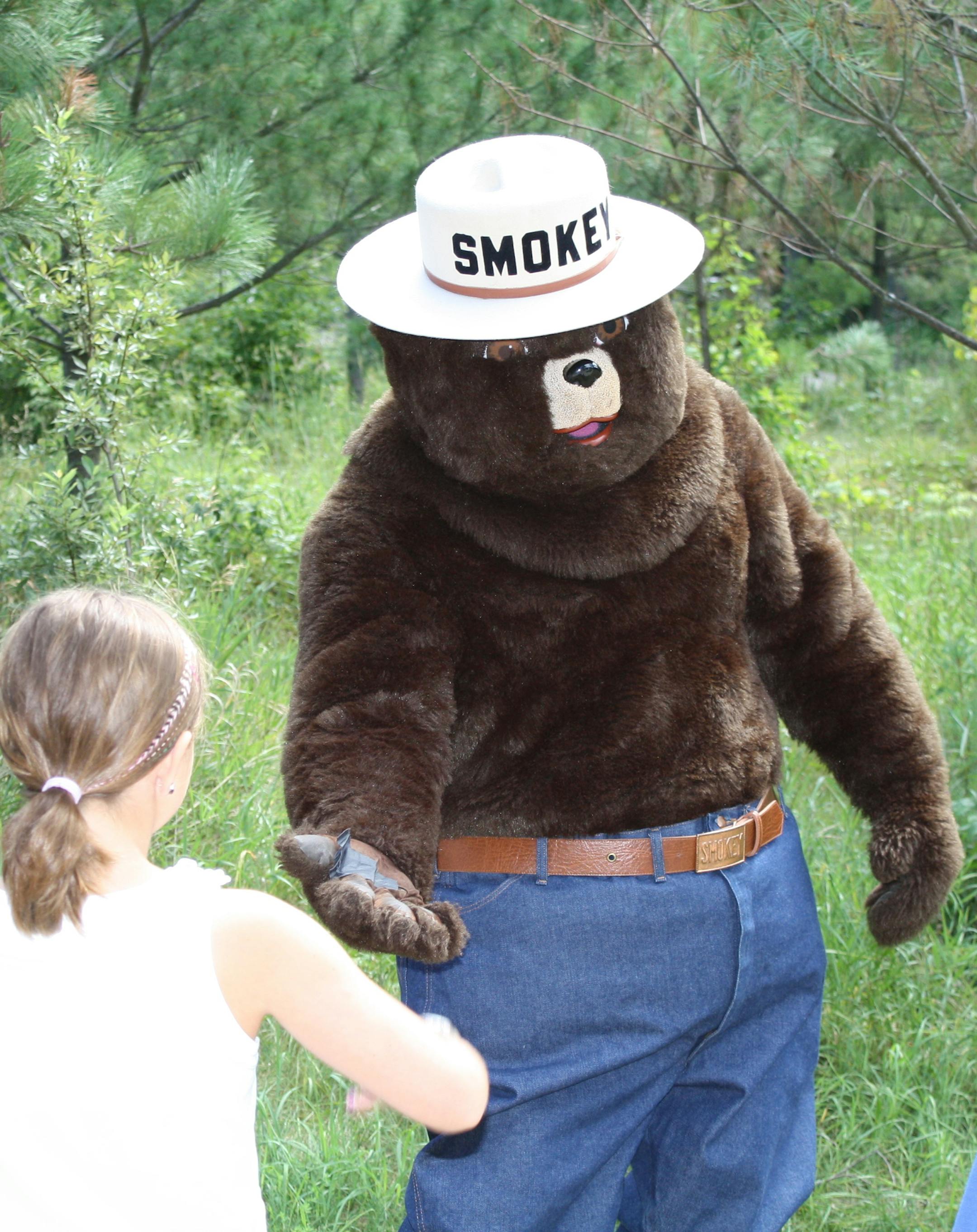 Provided by Minnesota DNR
