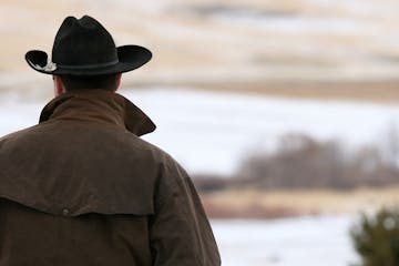 Cowboy looking at his land.