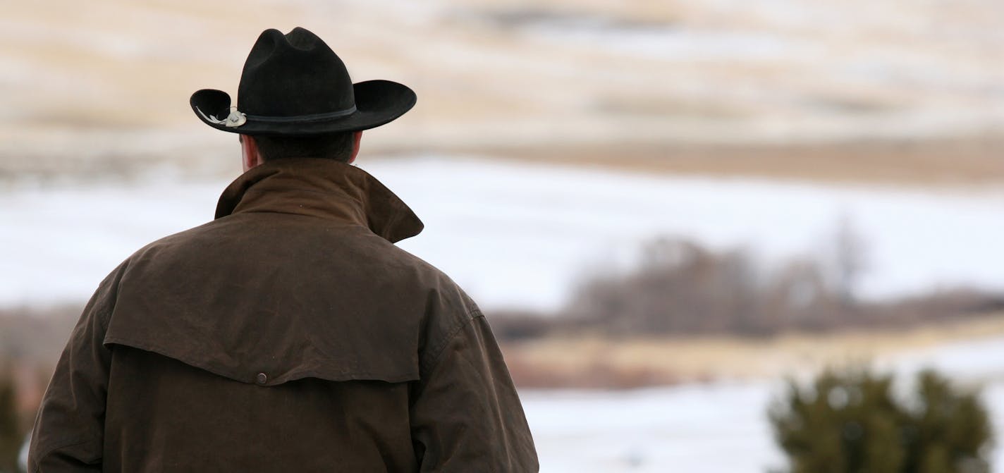 Cowboy looking at his land.