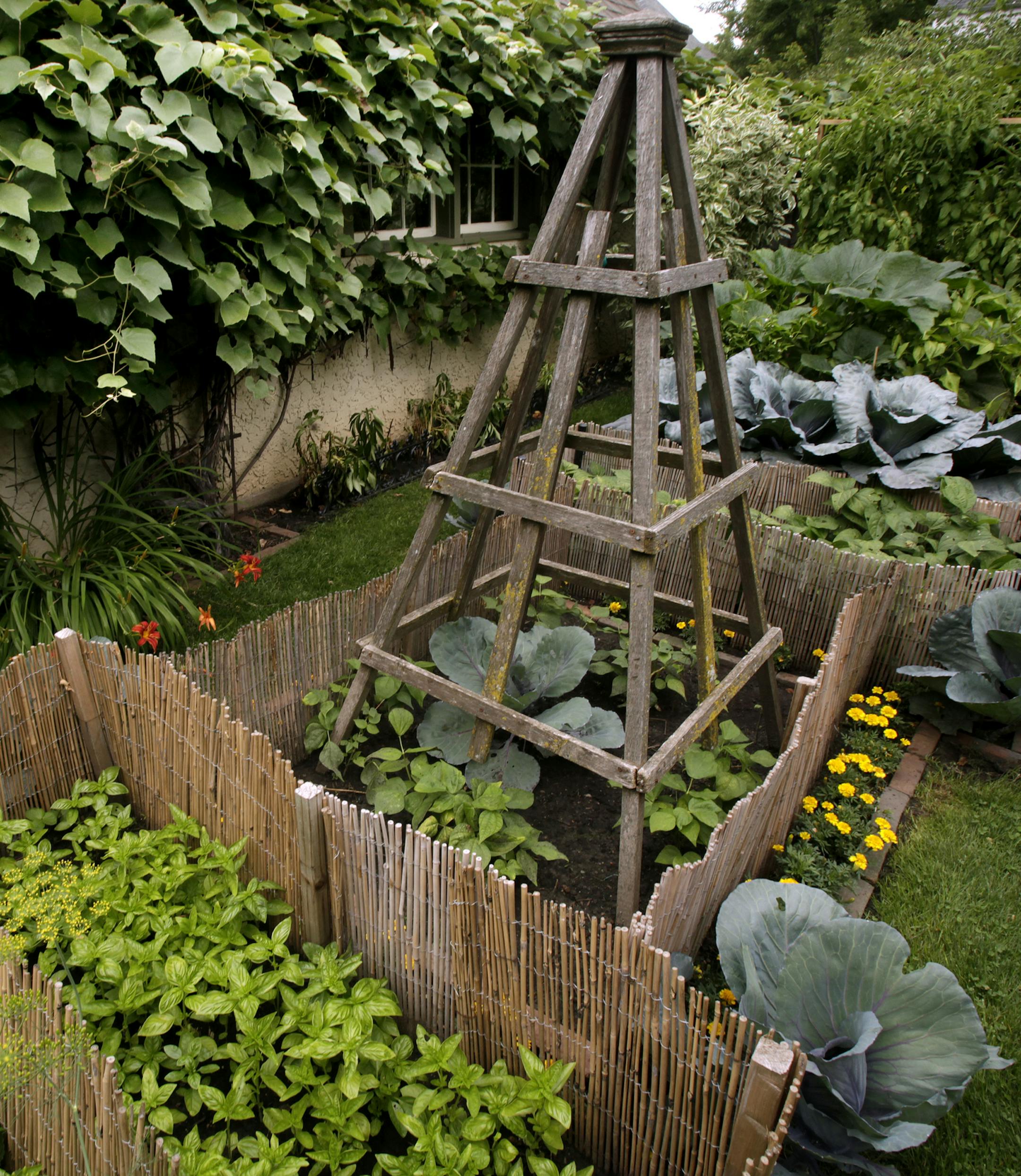 Beautiful Garden winner Eileen Troxel has a formal vegetable garden that produces edibles for her summer table and fodder for her food blog. St. Paul, MN on August 8, 2013. ] JOELKOYAMA‚Ä¢joel koyama@startribune