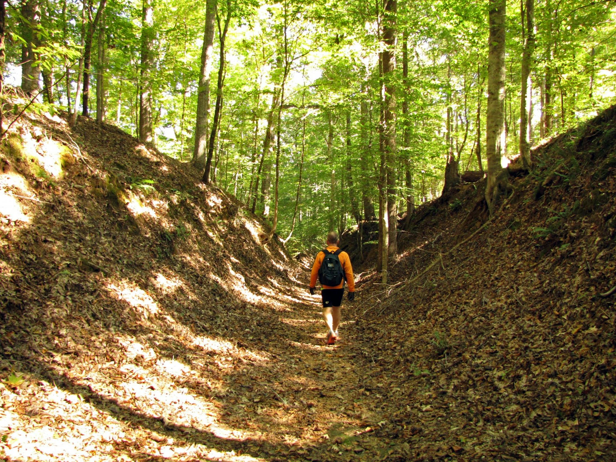 In various sections along the Natchez Trace Parkway, you can stop and walk along deeply eroded sections of the original trail, dubbed the Sunken Trace.